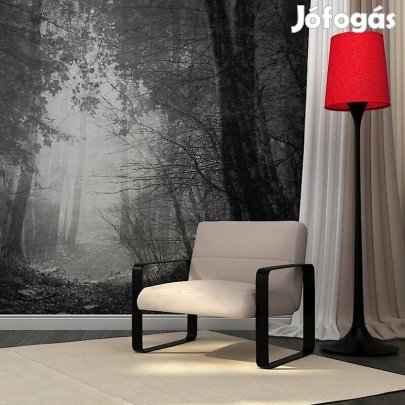 Fotótapéta - Rejtelmes erdő