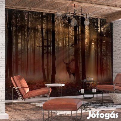 Fotótapéta - Rejtőzködő szarvas 1