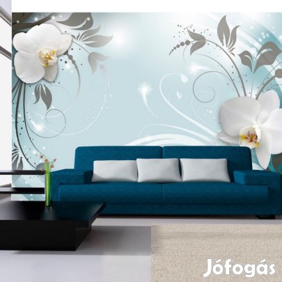 Fotótapéta - Reménykedő orchidea