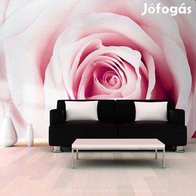 Fotótapéta - Rózsa álom 1