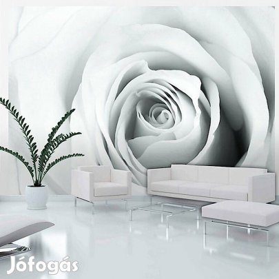 Fotótapéta - Rózsa álom 2