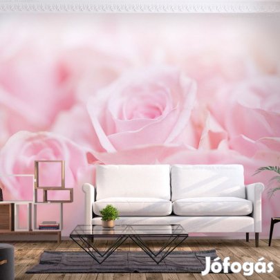 Fotótapéta - Rózsaszín rózsák