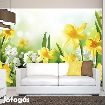 Fotótapéta - Sárga sétány