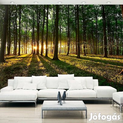 Fotótapéta - Sárga varázs