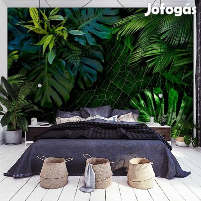 Fotótapéta - Sötét dzsungel