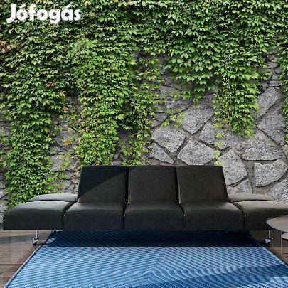 Fotótapéta - Sövény a falon