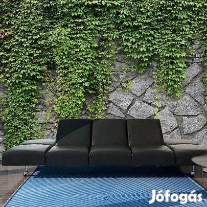 Fotótapéta - Sövény a falon