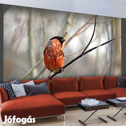 Fotótapéta - Süvöltő az erdőben