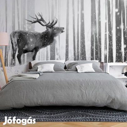 Fotótapéta - Szarvas a hóban 1