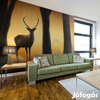 Fotótapéta - Szarvas a természetes élőhelyén