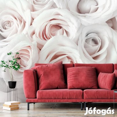 Fotótapéta - Szatén rózsák