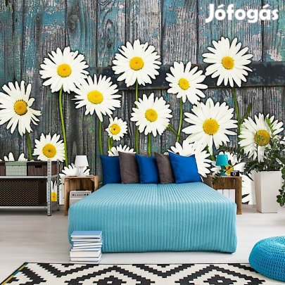 Fotótapéta - Százszorszép 1