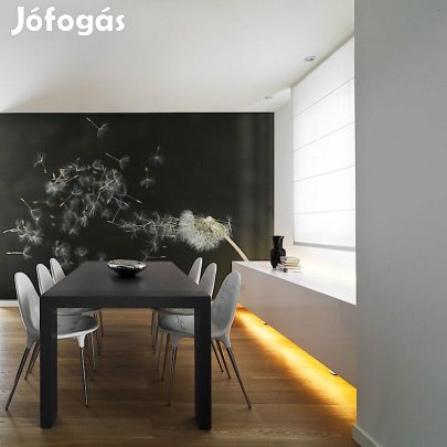 Fotótapéta - Szellő szárnyán