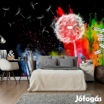 Fotótapéta - Színes elem 1