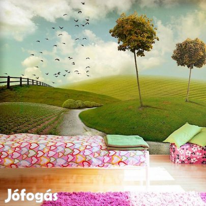 Fotótapéta - Színes mező