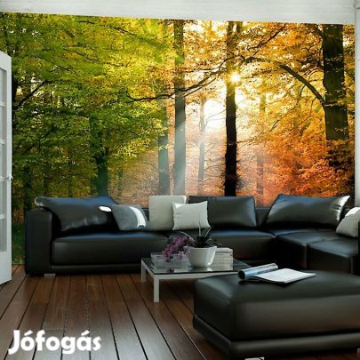 Fotótapéta - Színes ősz