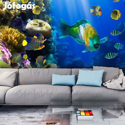 Fotótapéta - Színes víz alatti világ