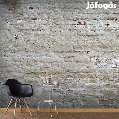 Fotótapéta - Téglafal előtt