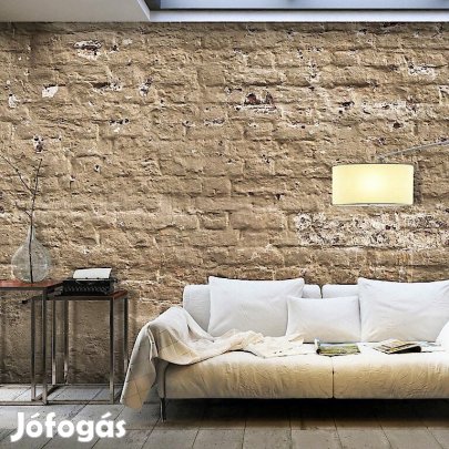 Fotótapéta - Téglafal előtt 2