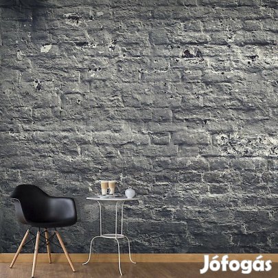 Fotótapéta - Téglafal előtt 3