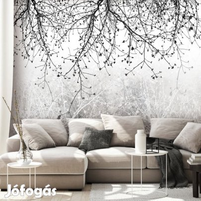 Fotótapéta - Természet szépségei