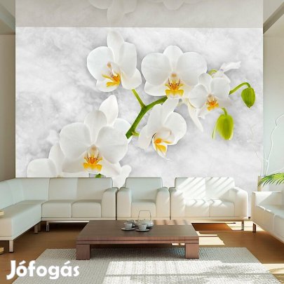 Fotótapéta - Tiszta álom