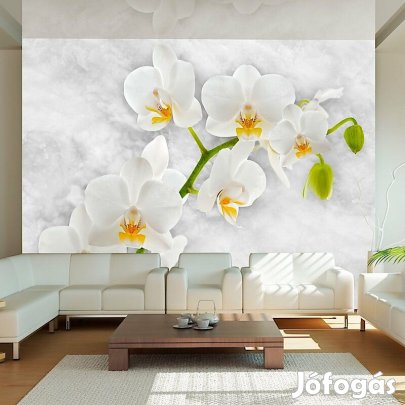 Fotótapéta - Tiszta álom