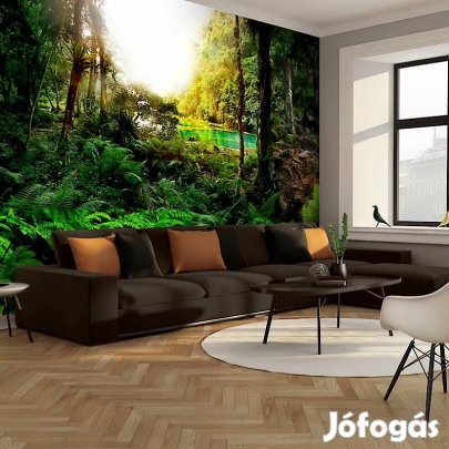 Fotótapéta - Trópusi erdő