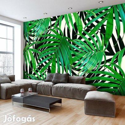 Fotótapéta - Trópusi levelek