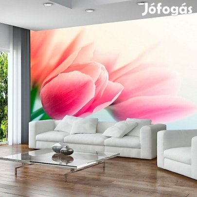 Fotótapéta - Tulipán árnyak