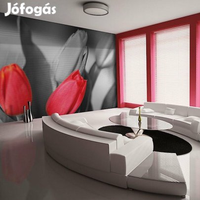 Fotótapéta - Tulipán kontraszt