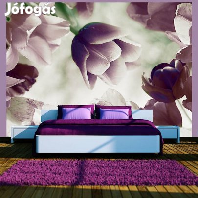 Fotótapéta - Tulipán virágzás