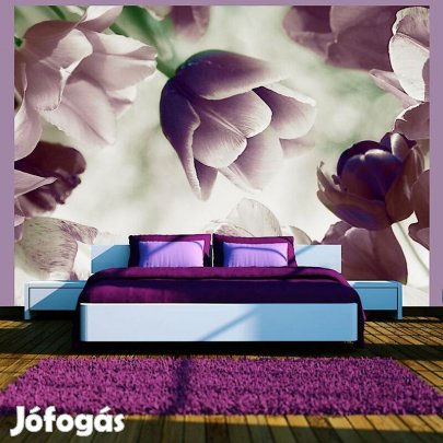 Fotótapéta - Tulipán virágzás