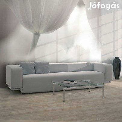 Fotótapéta - Tulipánok fekete-fehérben