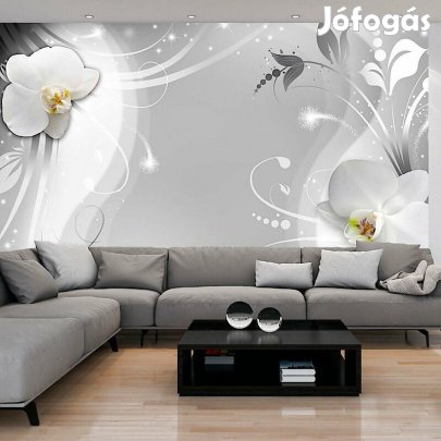 Fotótapéta - Tündöklő orchideák