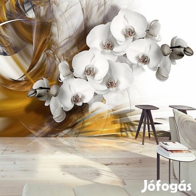 Fotótapéta - Tüzes Orchideák 1