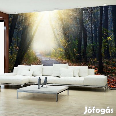 Fotótapéta - Út az erdőn keresztül 1