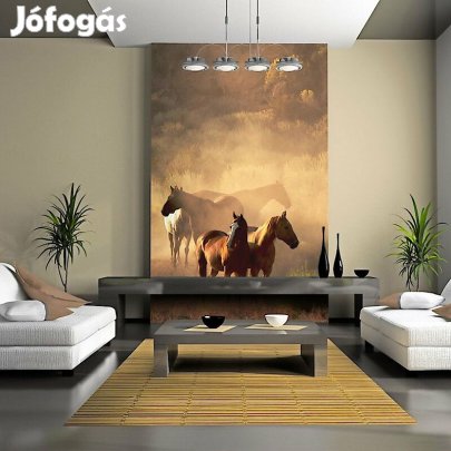 Fotótapéta - Vad lovak a steppe