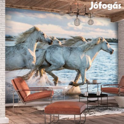 Fotótapéta - Vágtázó lovak 3
