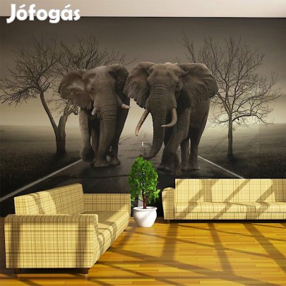 Fotótapéta - Város elefántok 2