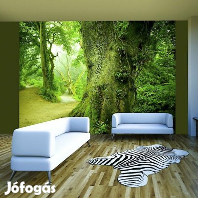 Fotótapéta - Vastag fák közt