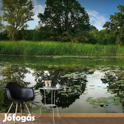 Fotótapéta - Végre nyár van