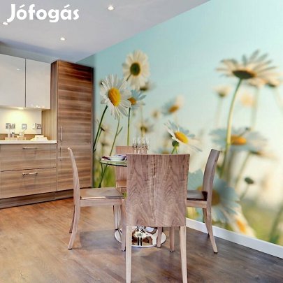 Fotótapéta - Vidám hangulatban