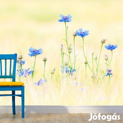 Fotótapéta - Vidámság