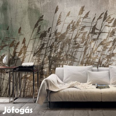 Fotótapéta - Viharos rét