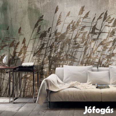 Fotótapéta - Viharos rét