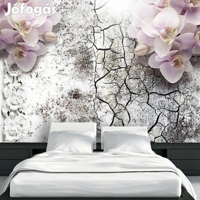 Fotótapéta - Világos piros orchideák