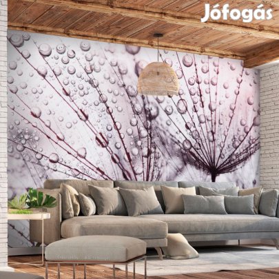 Fotótapéta - Virágok az esőben