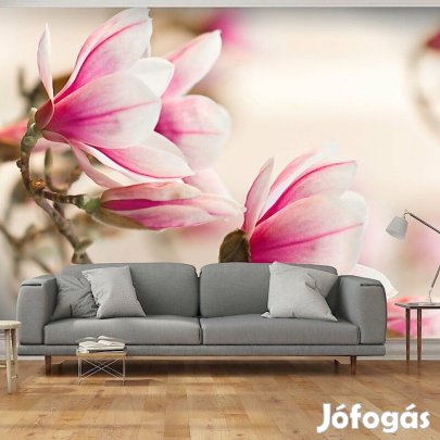 Fotótapéta - Virágzó magnólia fa