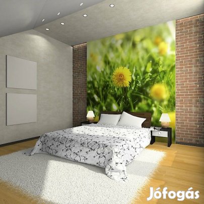 Fotótapéta - Virágzó rét